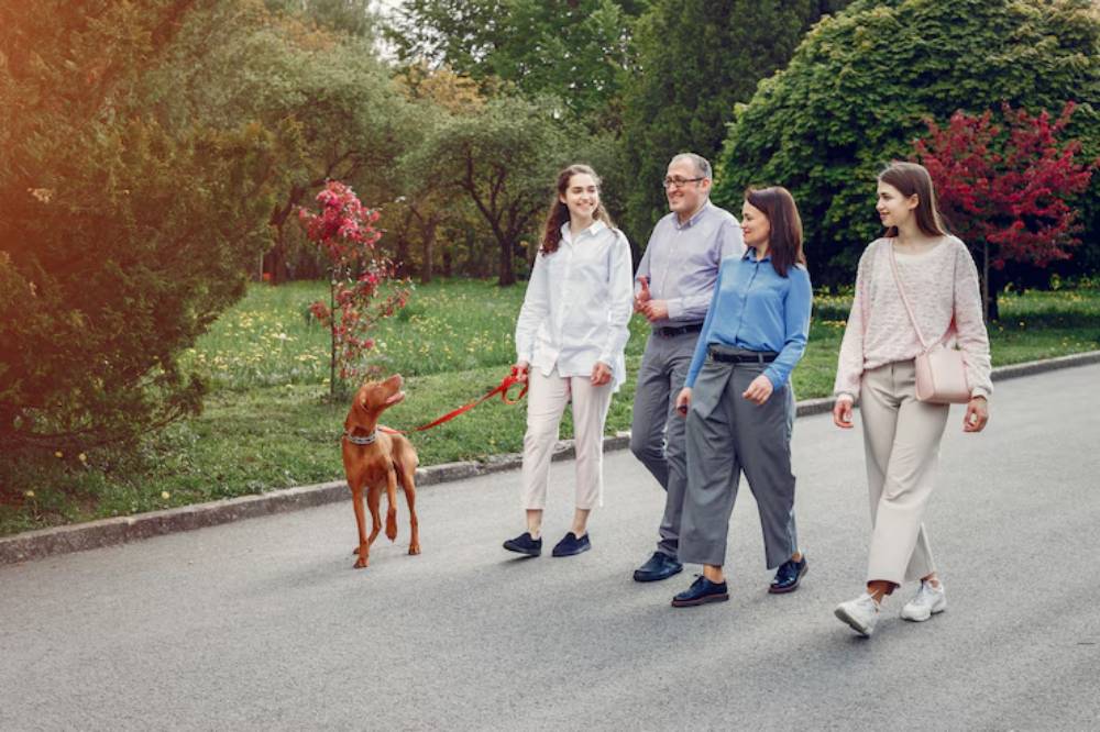 A group of four people stroll through a park, walking a brown dog on a leash amidst lush greenery and colorful blooming plants.
